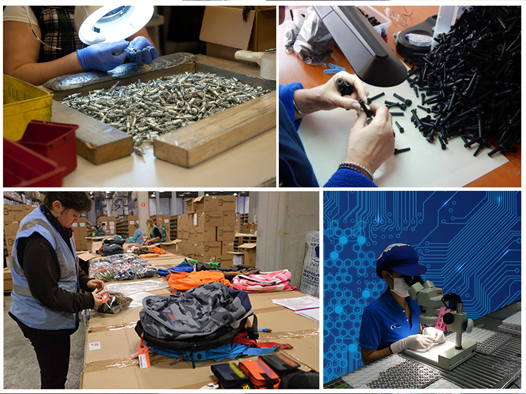 Hình ảnh tin tức Các ngành sử dụng Sorting nhiều nhất hiện nay