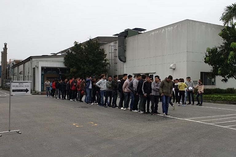 Cung ứng lao động và cho thuê lao động